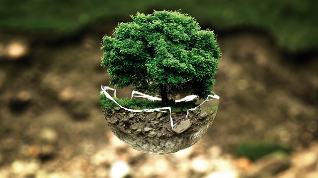 entreprise-quebecoise-pour-construction-ecoresponsable